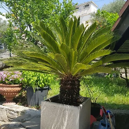 Il Casone Vallebona